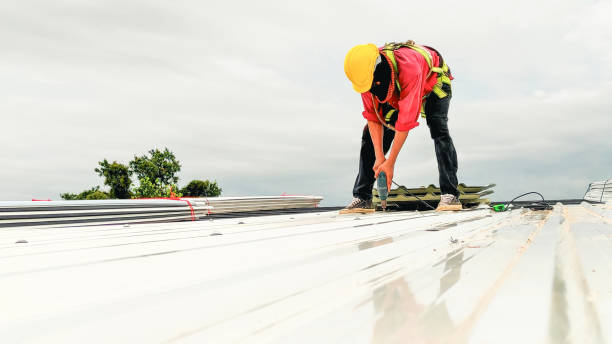 Best Chimney Flashing Repair  in Sandwich, IL